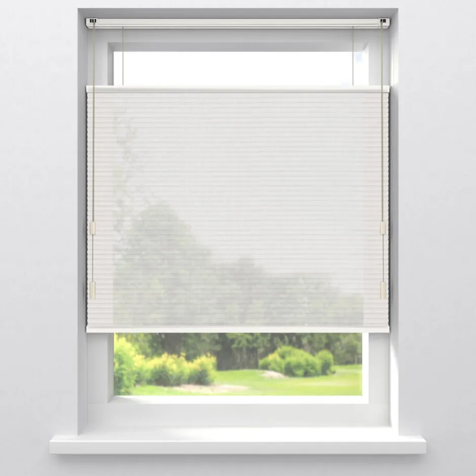 Fenstr Dubbel Plisségordijn Lou Transparant|Kwantum New