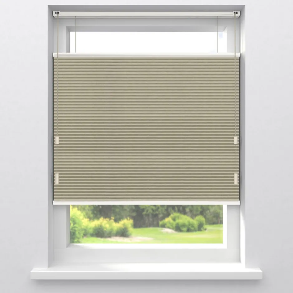 Fenstr Dubbel Plisségordijn Aniek Verduisterend|Kwantum Discount