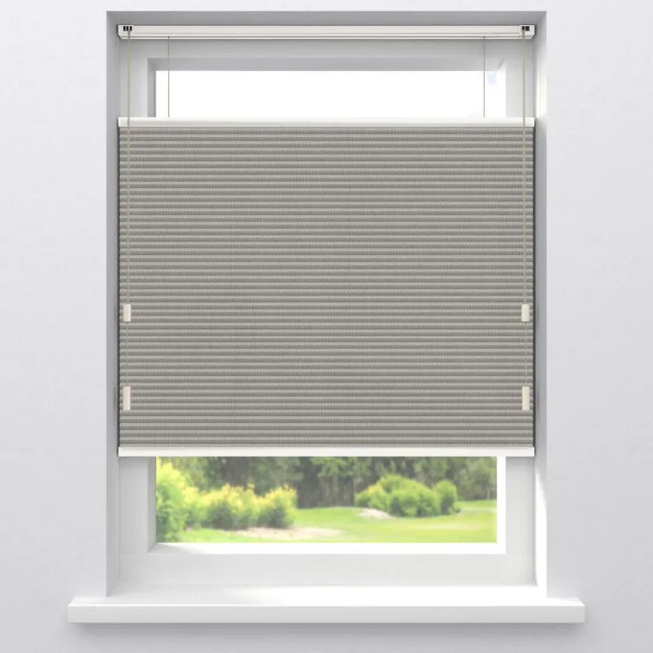Fenstr Dubbel Plisségordijn Elin Verduisterend|Kwantum Hot