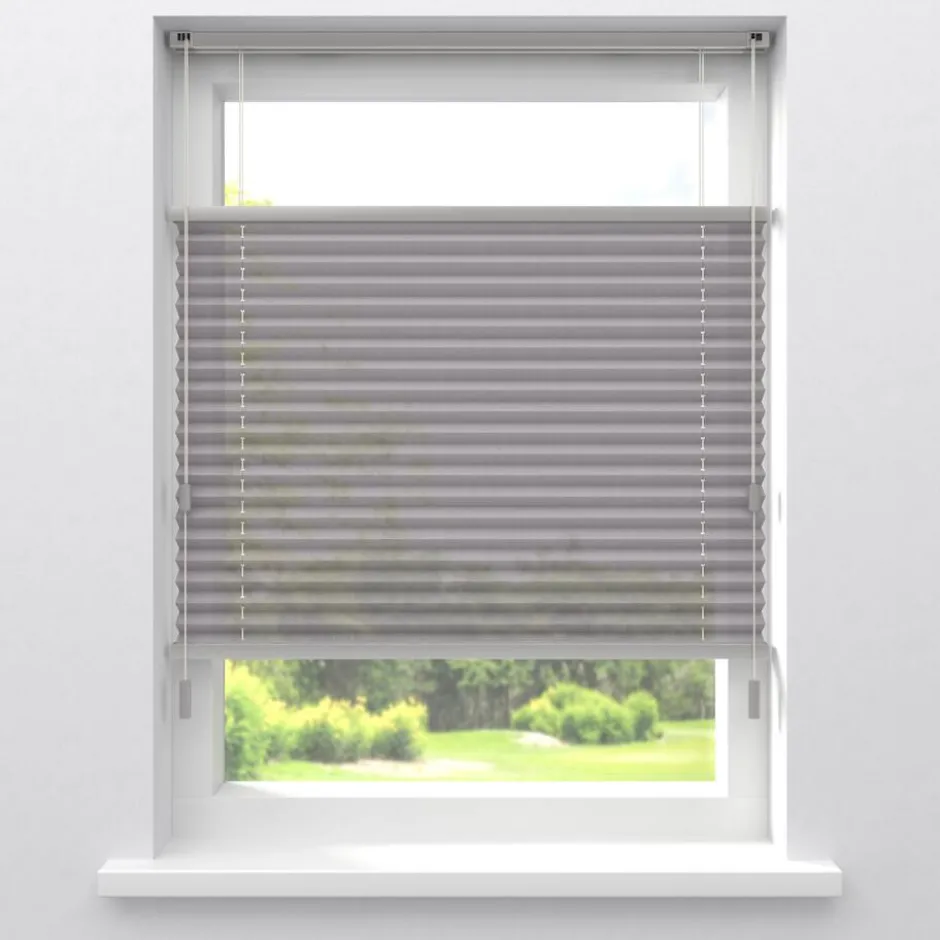 Fenstr Plissé Lise Lichtdoorlatend|Kwantum New
