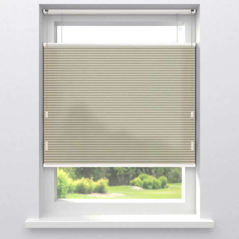 Fenstr Plisségordijn Raya Lichtdoorlatend|Kwantum Fashion