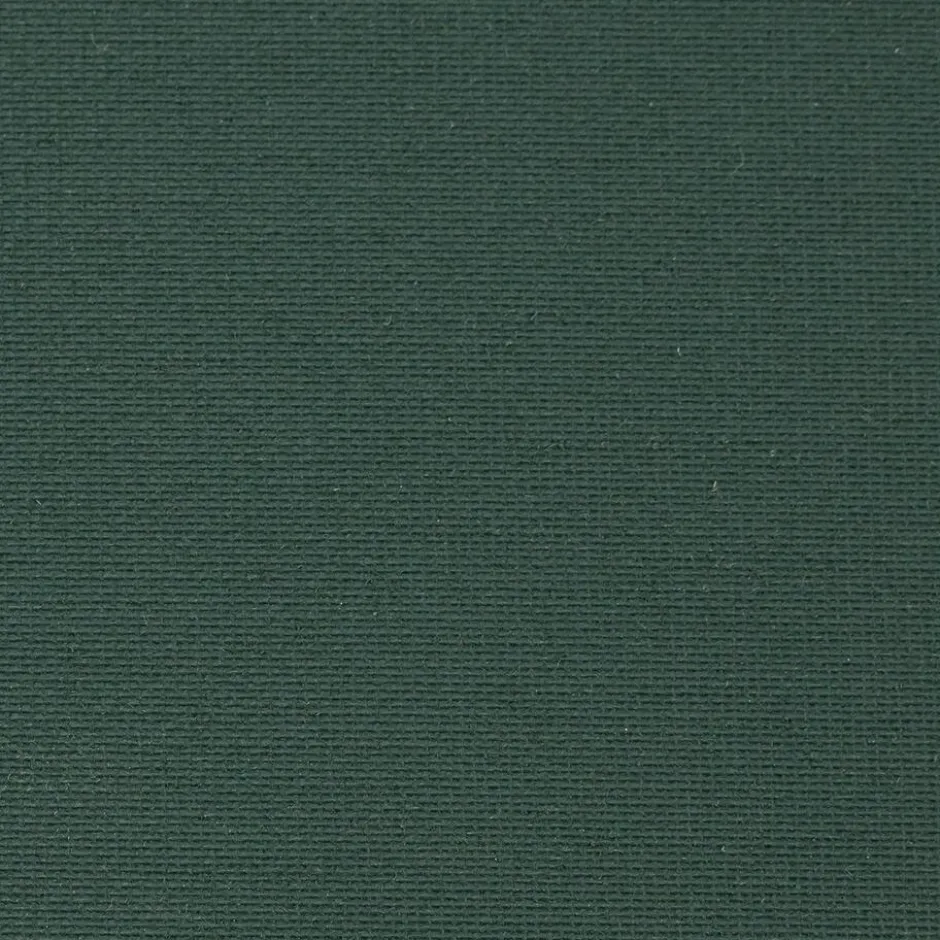 Fenstr Rolgordijn Noor Donker Groen Verduisterend|Kwantum Discount