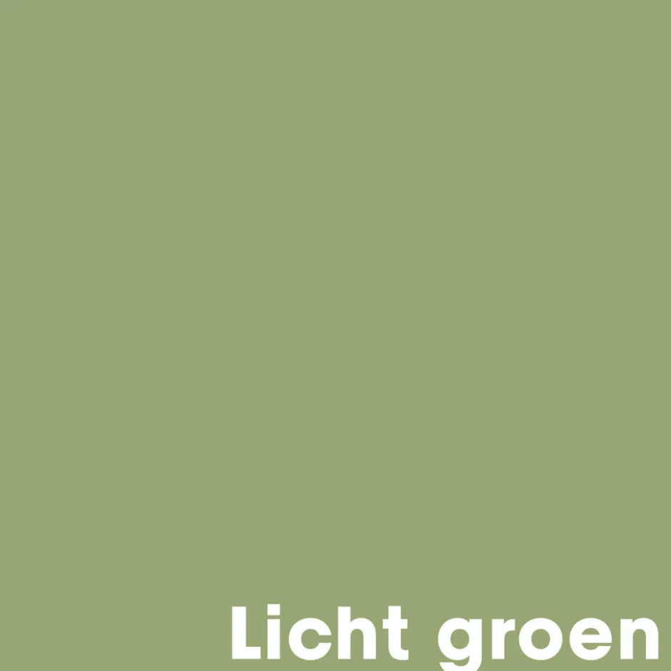 Muurverf Mat Licht Groen 1 L|Kwantum Sale
