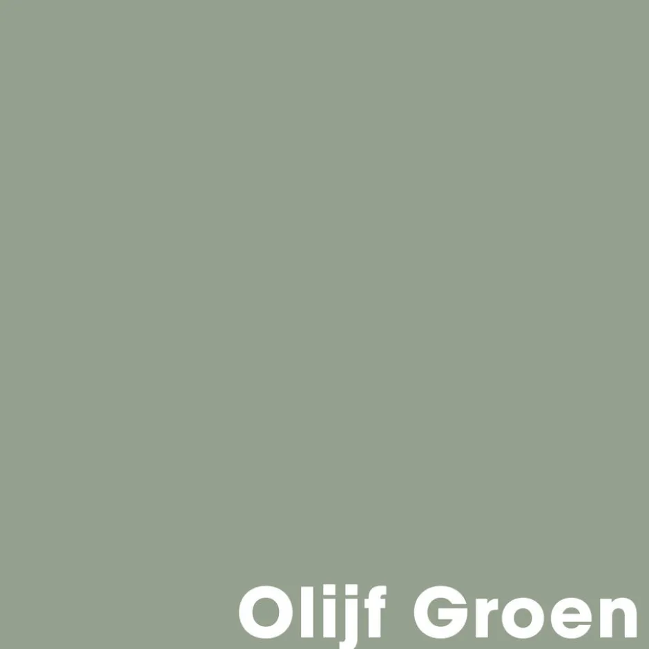 Muurverf Mat Olijf Groen 1 L|Kwantum Online
