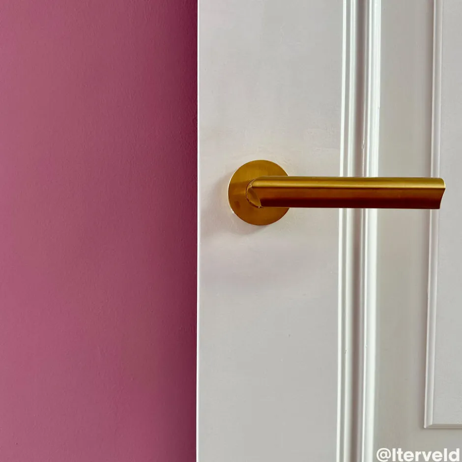 Muurverf Professional Misty Mauve 1 L|Kwantum Online