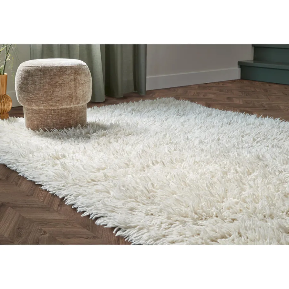 Poef Giba|Kwantum New