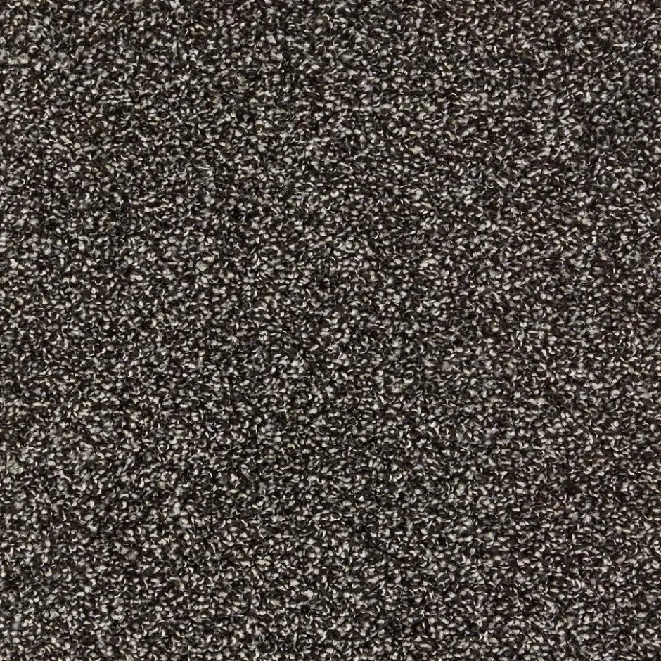 Tapijt Anamosa Antraciet|Kwantum Sale