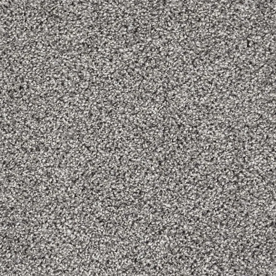 Tapijt Anamosa Grijs|Kwantum Sale