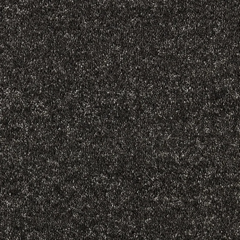 Tapijt Canora Antraciet|Kwantum New