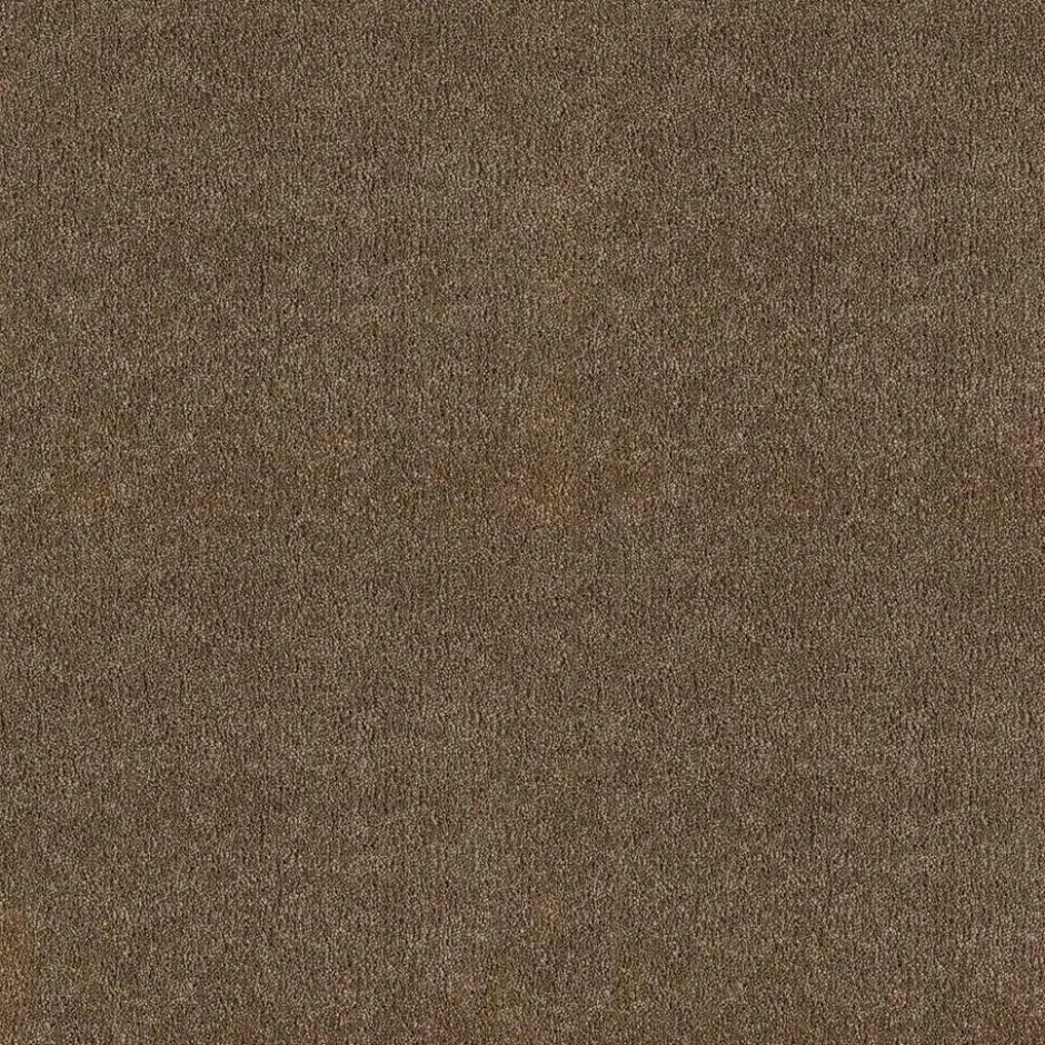 Tapijt Comfrey Bruin|Kwantum Discount