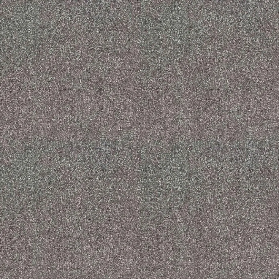 Tapijt Coventry Antraciet|Kwantum New