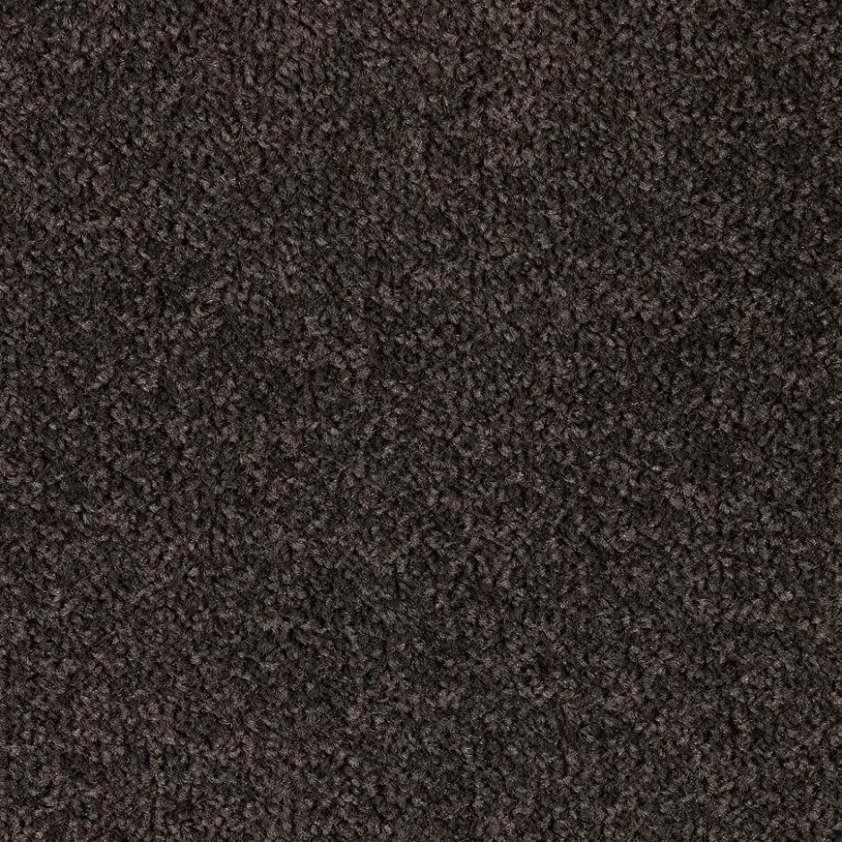 Tapijt Parker Donkergrijs|Kwantum Online