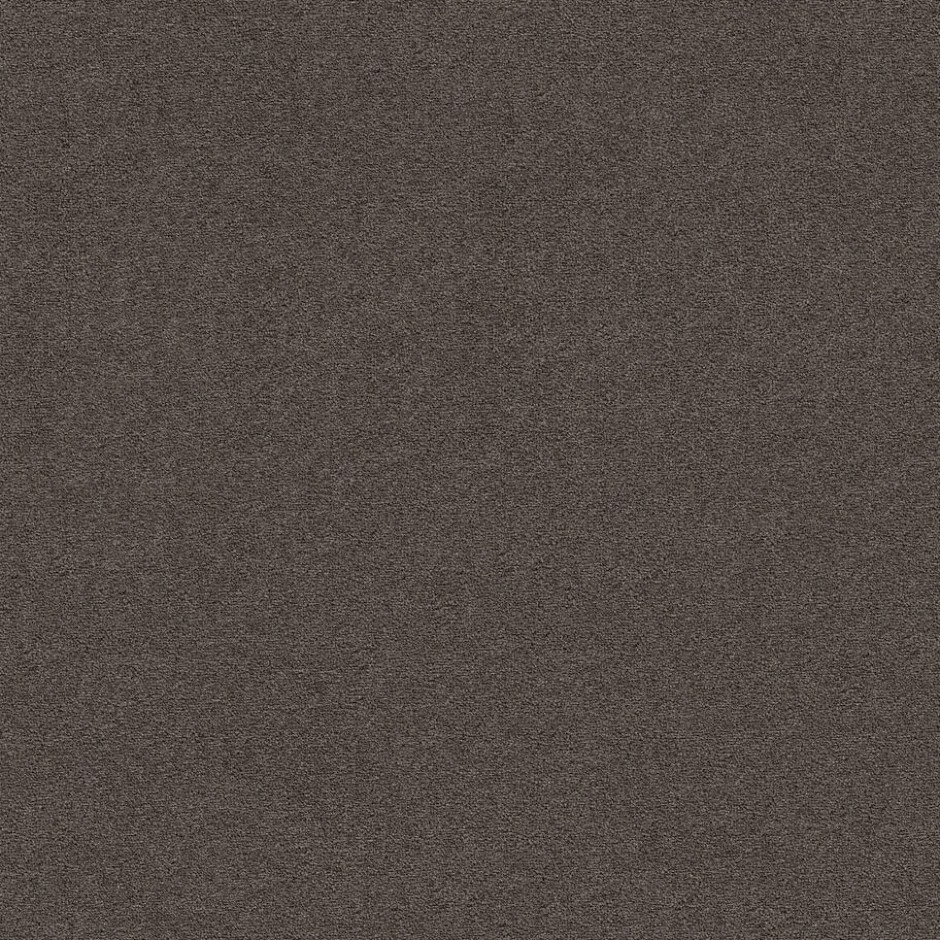 Tapijt Parker Donkergrijs|Kwantum Online