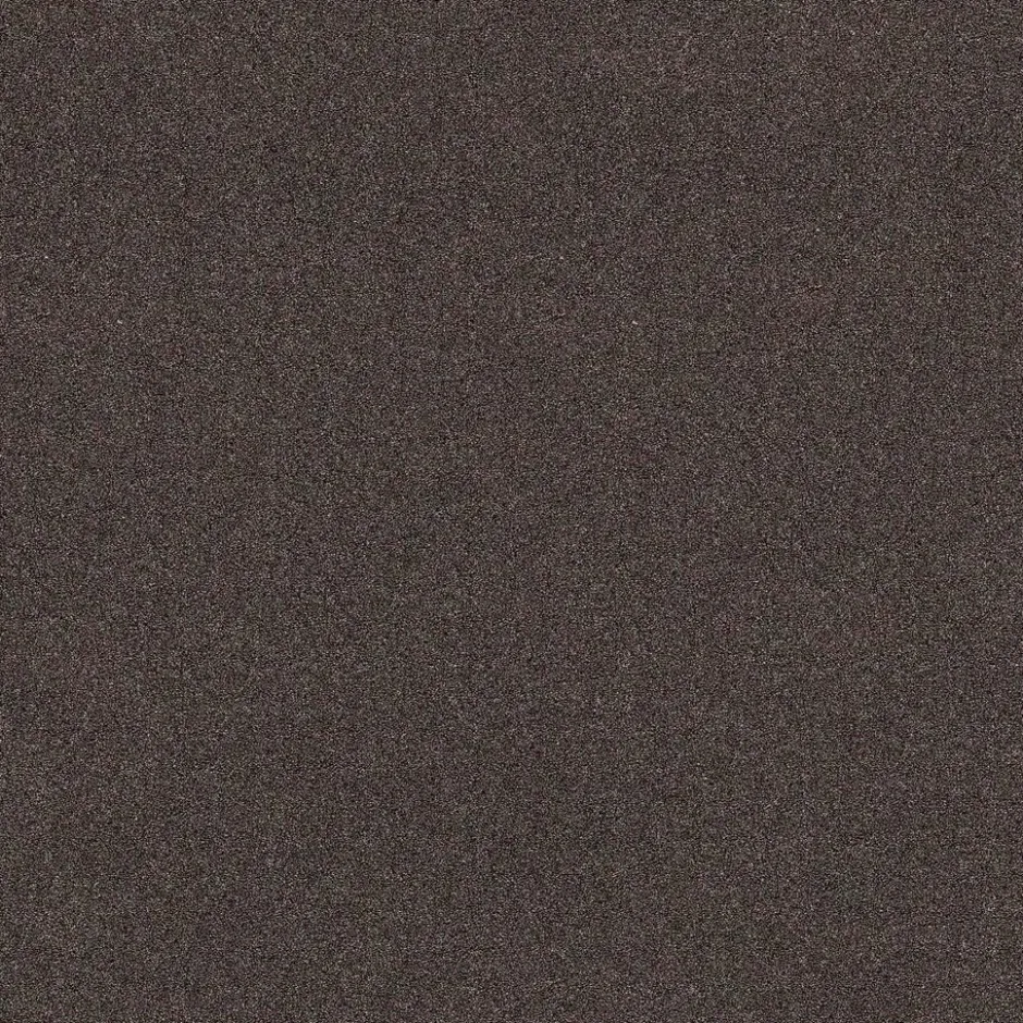 Tapijt Peetz Bruin|Kwantum Outlet