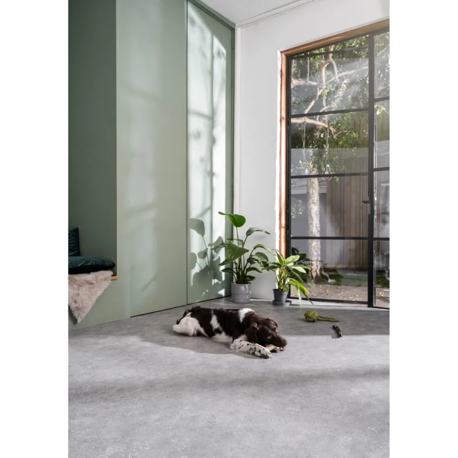 Vinyl Sutton Grijs Betonlook|Kwantum New